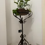 Brezza Albaro Апартаменты *