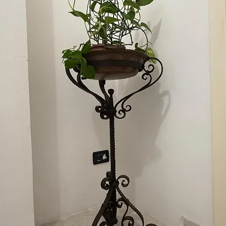 Brezza Albaro Appartamento *